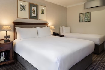 Family Room, 1 Queen Bed