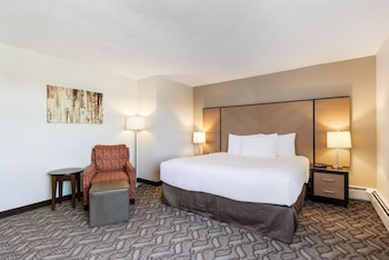 Room, 1 King Bed, Non Smoking