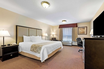 Standard Room, 1 King Bed, Accessible, Non Smoking