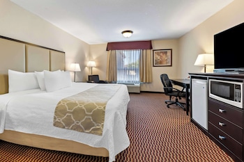 Standard Room, 1 King Bed, Accessible, Non Smoking