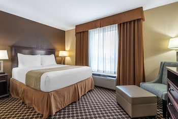 Standard Room, 1 King Bed, Non Smoking, Refrigerator & Microwave