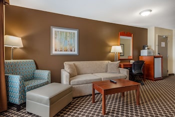 Suite, 1 King Bed, Non Smoking, Jetted Tub (with Sofabed)