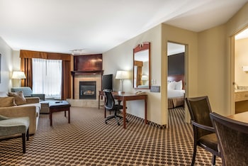 Standard Room, 1 King Bed, Non Smoking, Jetted Tub (Larger Room;with Sofabed)