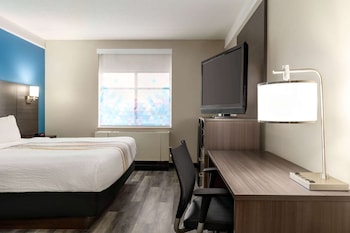 Executive Room, 1 King Bed, Non Smoking