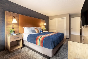Suite, 1 Bedroom (with Sofa Bed and Fire Pit)