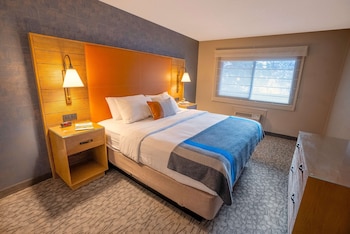 Suite, 1 Bedroom (with Sofa Bed)