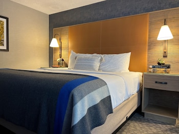 Lodge 1 King Bed Accessible