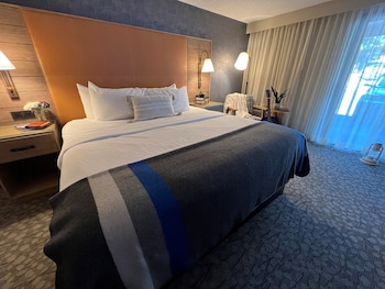 Lodge 1 King Bed Accessible