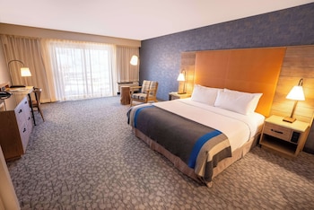 Lodge 1 King Bed Accessible
