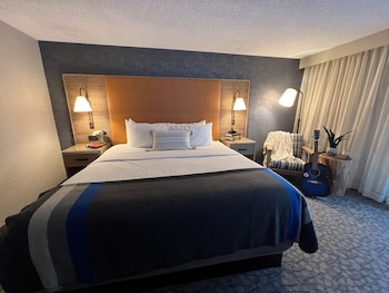 Lodge 1 King Bed Accessible