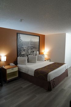 Standard Room, 1 King Bed, Smoking