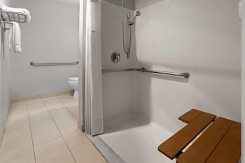 Room, 1 Queen Bed, Accessible, Non Smoking (Roll-In Shower)