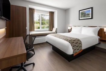 Superior Room, 1 Queen Bed (microwave & fridge included)
