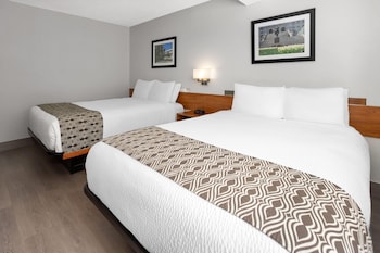 Standard Room, 2 Queen Beds