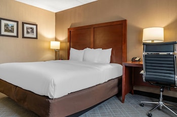 Room, 1 King Bed, Accessible, Non Smoking (Roll-In Shower)