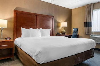 Room, 1 King Bed, Non Smoking