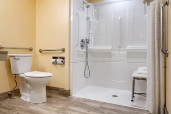 Room, 1 King Bed, Accessible, Non Smoking (Roll-In Shower)