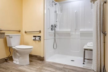 Room, 1 King Bed, Accessible, Non Smoking (Roll-In Shower)