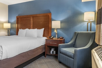 Room, 1 King Bed, Non Smoking