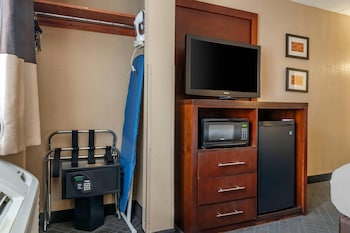 Room, 1 King Bed, Accessible, Non Smoking (Roll-In Shower)