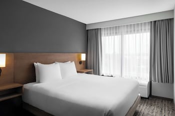 Room, 1 King Bed