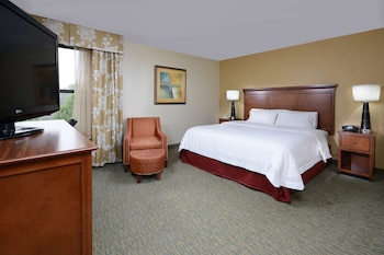 Room, 1 King Bed, Accessible, Bathtub (Non-smoking)