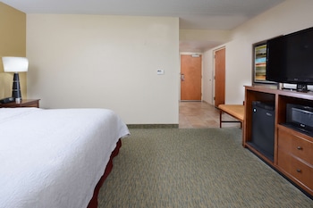 Room, 1 King Bed, Accessible, Bathtub (Non-smoking)