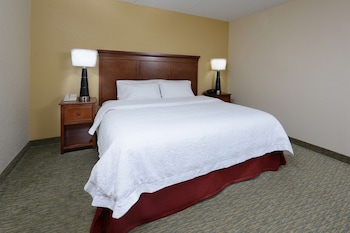 Room, 1 King Bed, Accessible, Bathtub (Non-smoking)