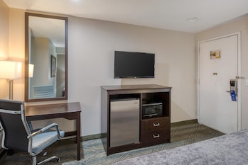 Standard Room, 1 King Bed, Accessible, Non Smoking
