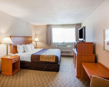 Standard Room, 1 King Bed, Accessible, Non Smoking