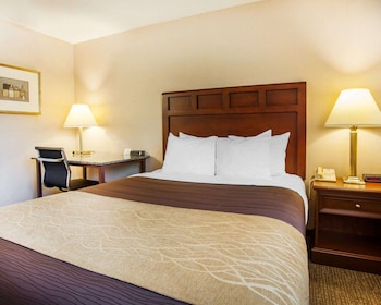 Standard Room, 1 Queen Bed, Non Smoking