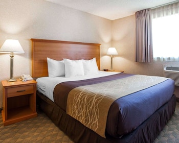 Standard Room, 1 King Bed, Accessible, Non Smoking