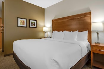 Room, 1 King Bed, Accessible, Non Smoking
