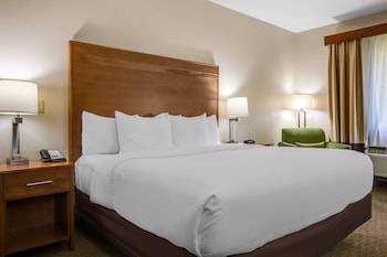Room, 1 King Bed, Accessible, Non Smoking