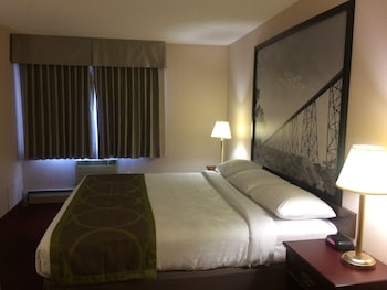 Suite, 1 King Bed, Non Smoking (One-Bedroom)