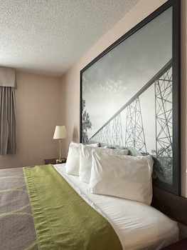 Room, 1 King Bed, Non Smoking