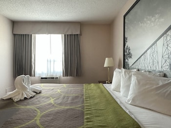 Room, 1 King Bed, Non Smoking
