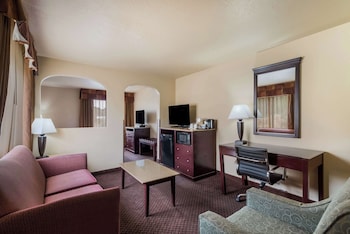 Suite, 1 King Bed, Non Smoking, Refrigerator & Microwave (with Sofabed)