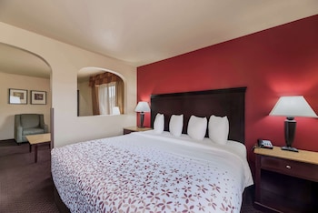 Suite, 1 King Bed, Non Smoking, Refrigerator & Microwave (with Sofabed)
