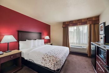 Standard Room, 1 Queen Bed, Accessible, Refrigerator & Microwave