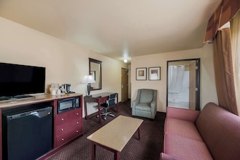 Suite, 1 King Bed, Non Smoking, Refrigerator & Microwave (with Sofabed)