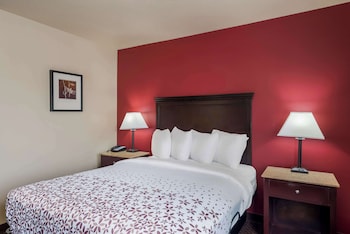 Standard Room, 1 Queen Bed, Accessible, Refrigerator & Microwave