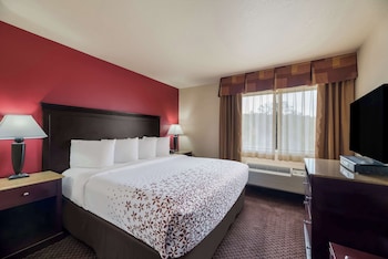 Suite, 1 King Bed, Non Smoking, Refrigerator & Microwave (with Sofabed)