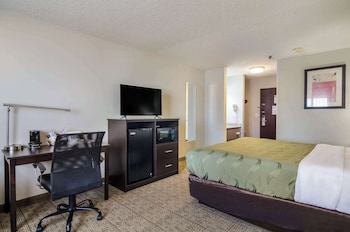 Room, 1 King Bed, Non Smoking