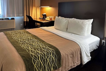 Room, 2 Queen Beds, Non Smoking (Efficiency)