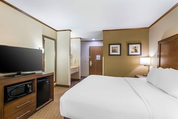 Standard Room, 1 King Bed, Non Smoking