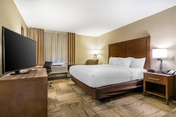 Room, 1 King Bed, Accessible, Non Smoking