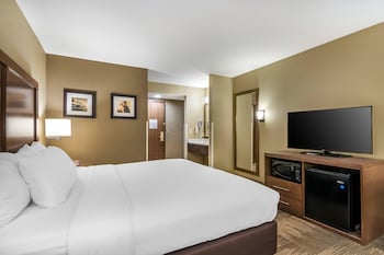 Room, 1 King Bed