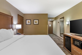 Room, 1 King Bed, Accessible, Non Smoking