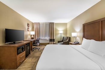 Room, 1 King Bed